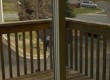4300n-shakopee