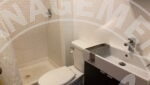 minneapolis apartment rental bathroom